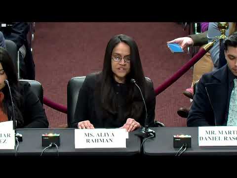 WATCH: Minneapolis resident and U.S. citizen Aliya Rahman describes being detained by ICE