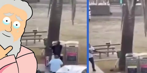 Bless The Muslim Man Who Disarmed a Terrorist Shooter in Australia