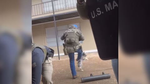 VIDEO: U.S. marshal kicks dog in Memphis
