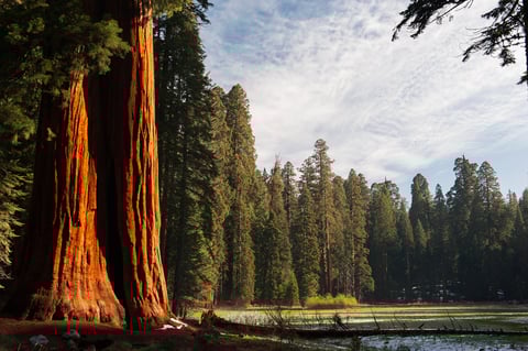 ‘GO **** YOURSELVES’: National park visitors slam feds in leaked park comments