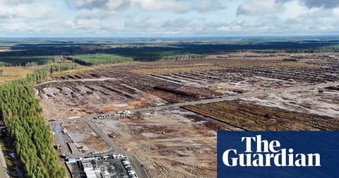 āPure arroganceā: anger in Finland as Google illegally fells 250,000 trees for datacentre