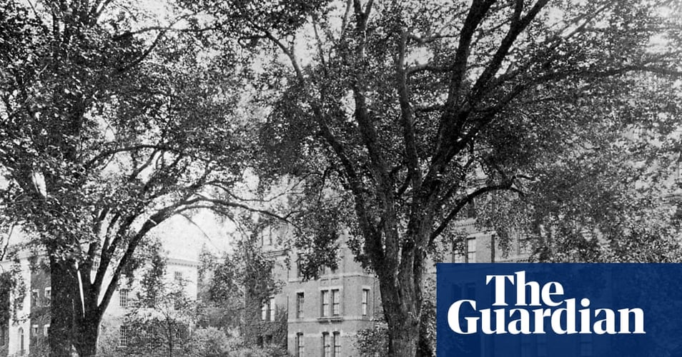 Harvard hired a researcher to uncover its ties to slavery. He says the results cost him his job: ‘We found too many slaves’