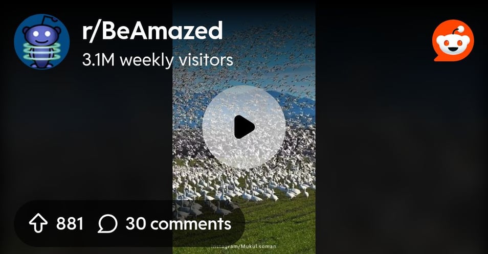 From the BeAmazed community on Reddit: A breathtaking sight of a massive flock of snow geese, who have come from the Arctic to spend the winter in the Skagit Valley near Seattle, gradually taking flig...