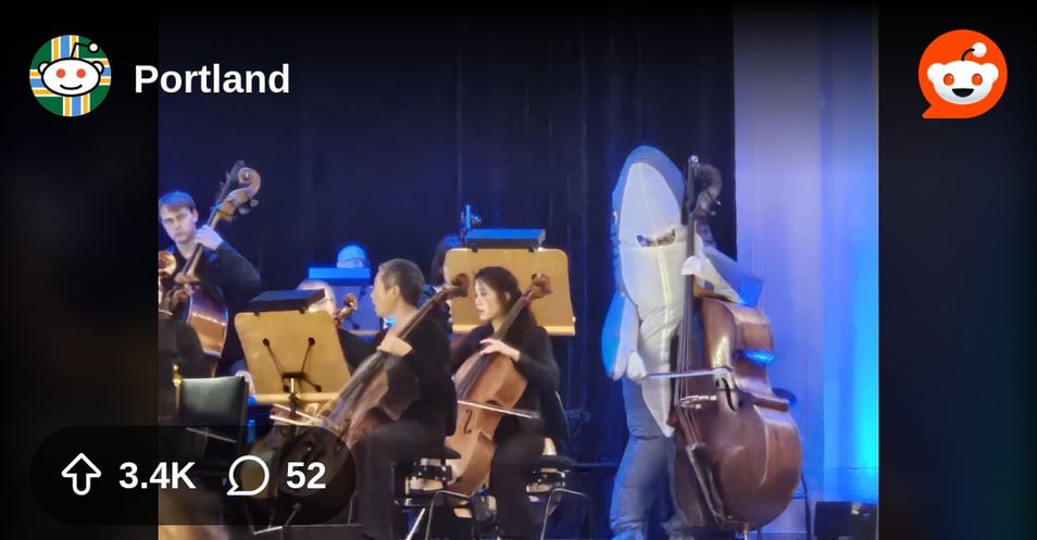 From the Portland community on Reddit: Shout out to the bassist at the symphony last night wearing a shark costume through the entire score of Jaws