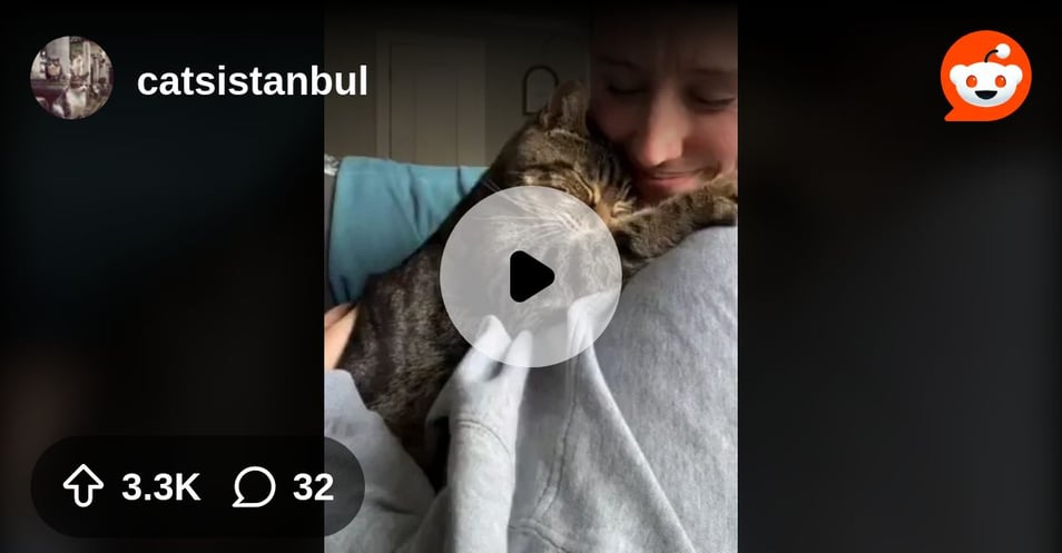 From the catsistanbul community on Reddit: She adopted a senior cat from the shelter..this was the cat's reaction..🐈🐾🥺❤️