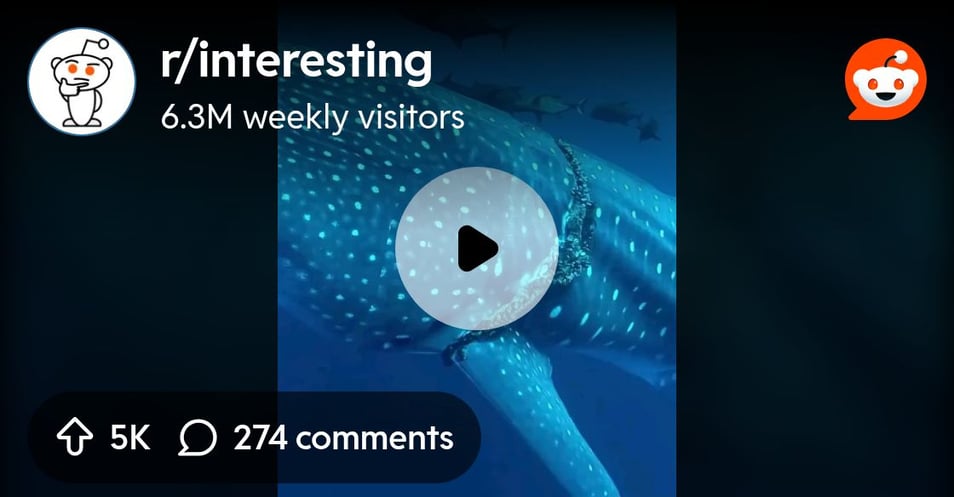 From the interesting community on Reddit: The years of discomfort the whale had endured vanished in 30 seconds.