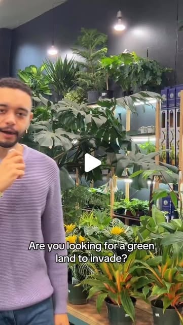 Planthony on Instagram: "I’m having so much fun 🤩 I love living in unprecedented times"